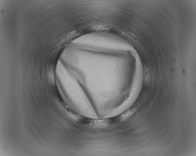 X0000067370622200604211544