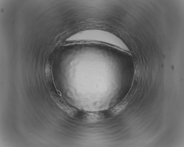 X0000067370623200604211544
