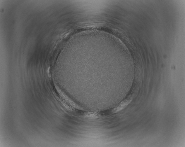 X0000067370624200604211544