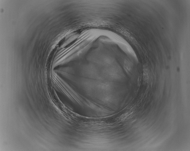 X0000067370626200604211543
