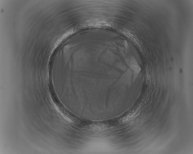 X0000067370630200604211543