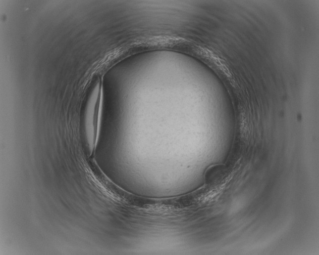 X0000067370633200604211543