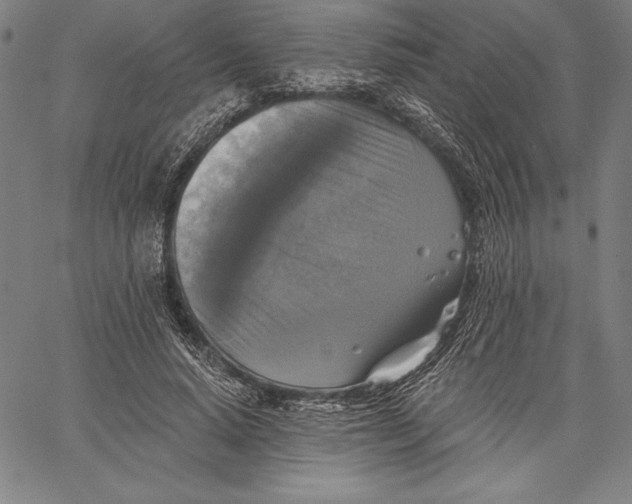 X0000067370640200604211543
