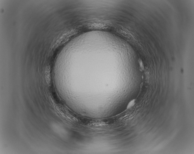 X0000067370642200604211543