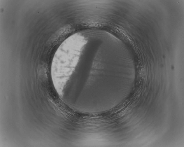 X0000067370643200604211543