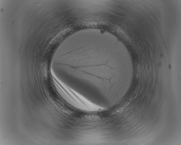 X0000067370644200604211543