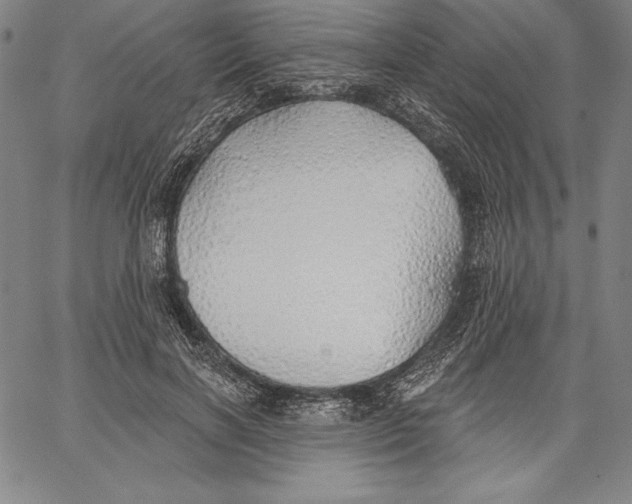 X0000067370646200604211543