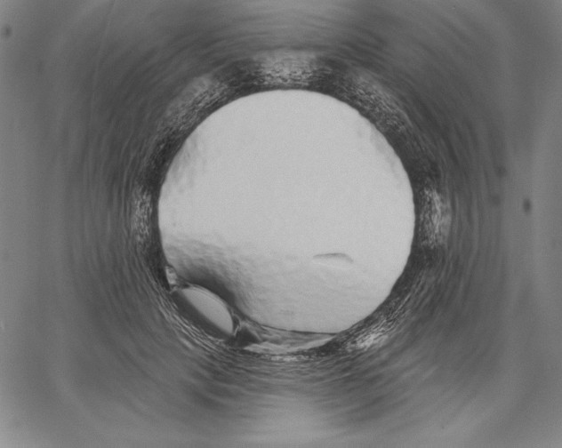 X0000067370649200604211543