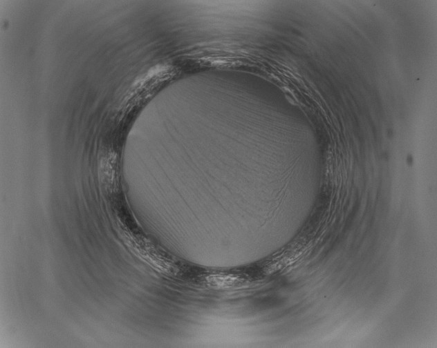 X0000067370650200604211543