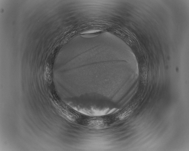 X0000067370653200604211543