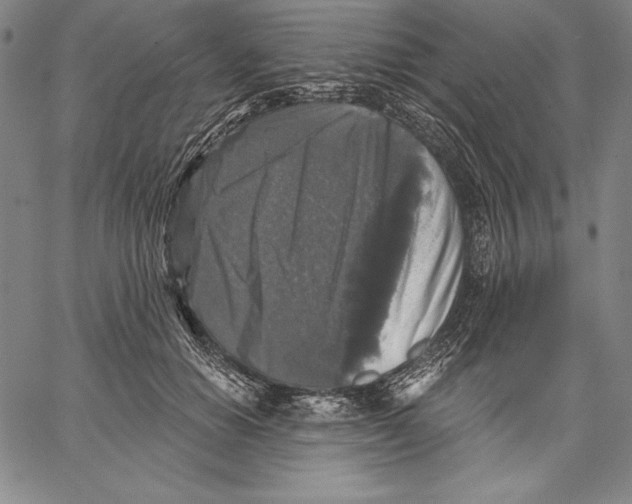 X0000067370654200604211543