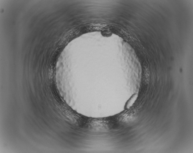 X0000067370657200604211543