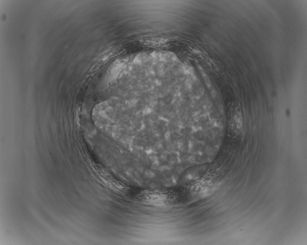 X0000067370658200604211543
