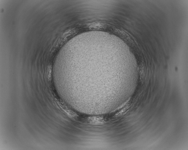 X0000067370660200604211543