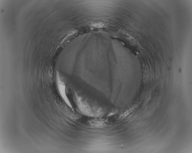 X0000067370661200604211543