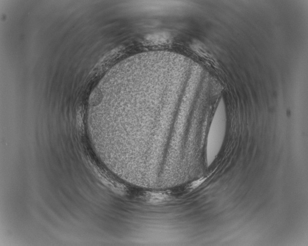 X0000067370662200604211543