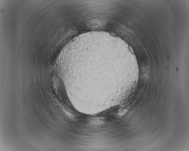 X0000067370664200604211543