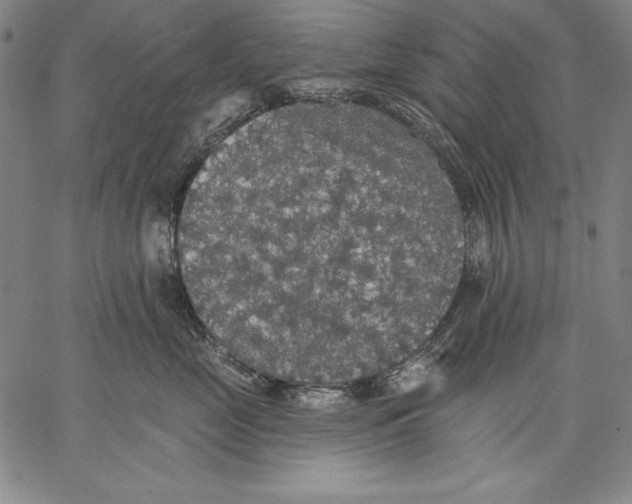 X0000067370669200604211544