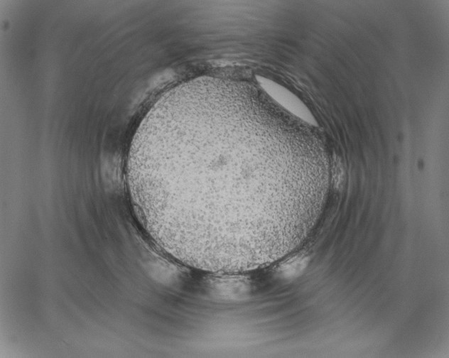 X0000067370670200604211544