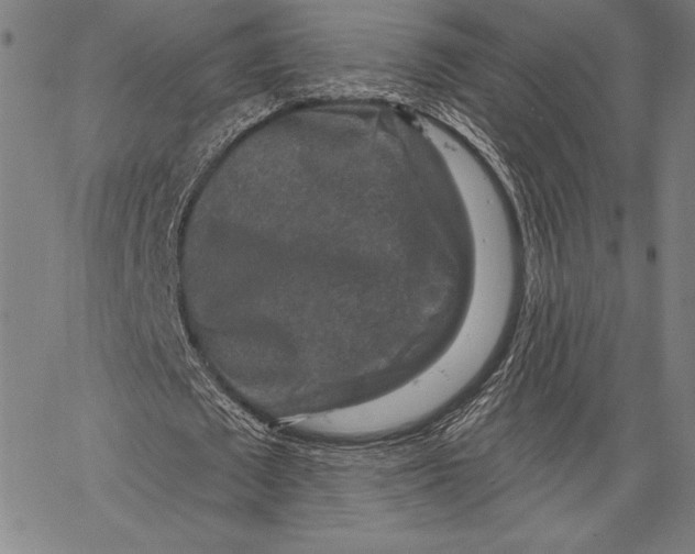 X0000067370673200604211543
