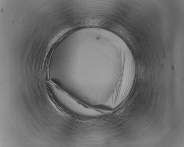 X0000067370674200604211543