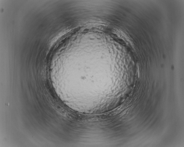 X0000067370675200604211543