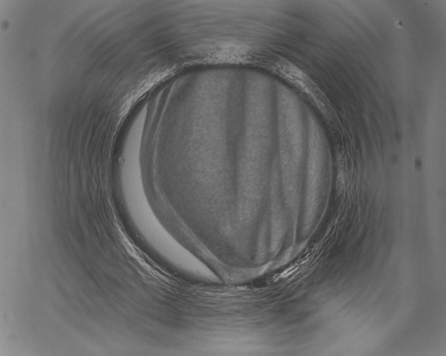 X0000067370677200604211543