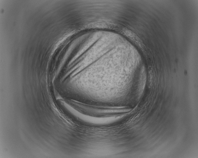 X0000067370680200604211543