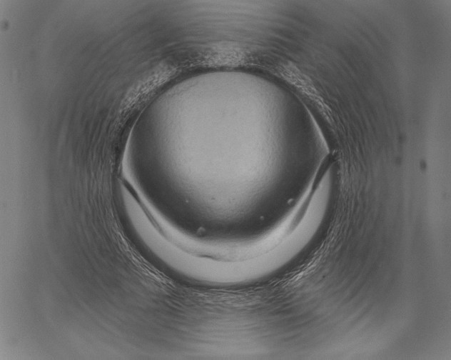 X0000067370681200604211543