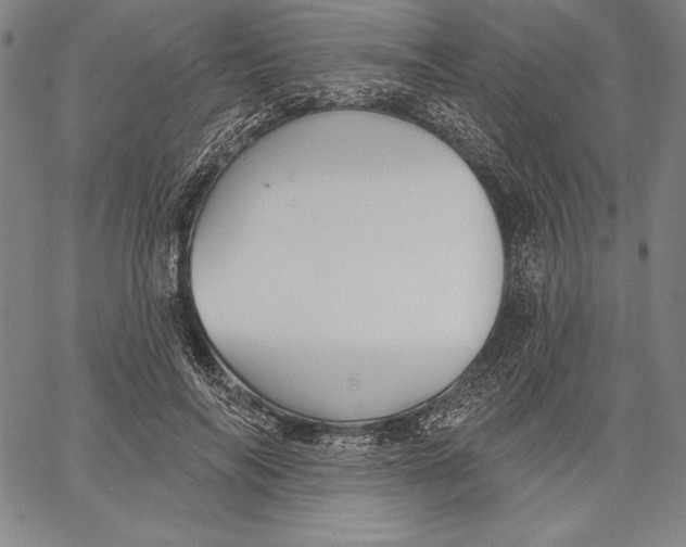 X0000067370694200604211542