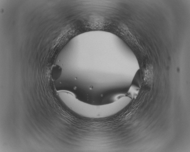 X0000067370697200604211542
