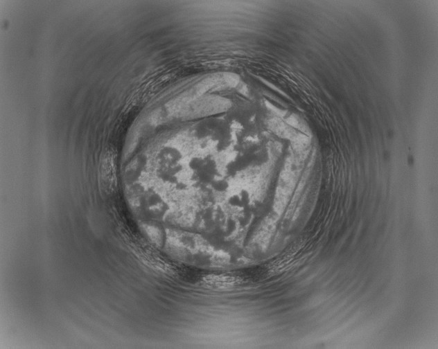 X0000067370699200604211542