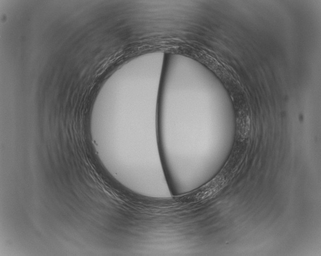 X0000067370704200604211542
