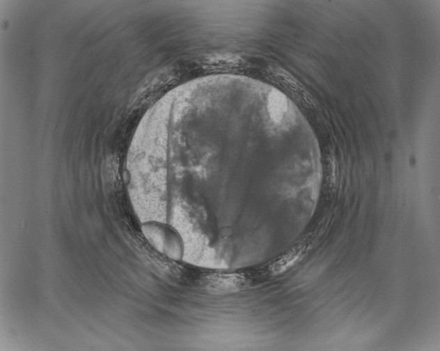 X0000067370711200604211542