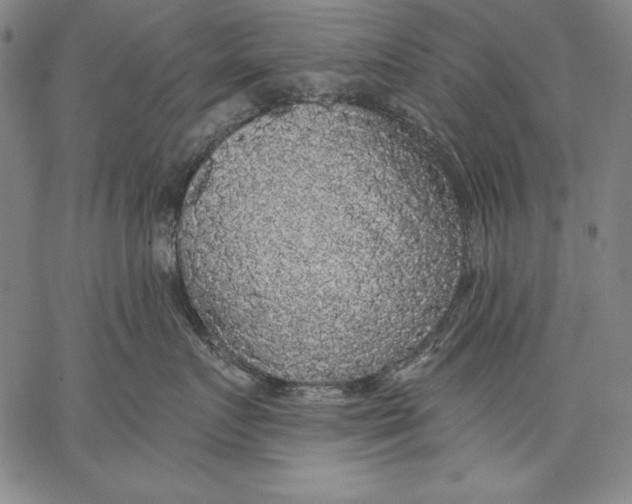 X0000067370719200604211542