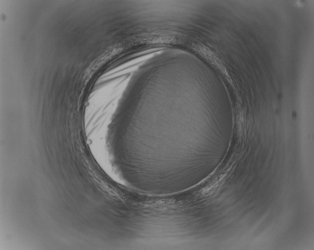 X0000067370721200604211541