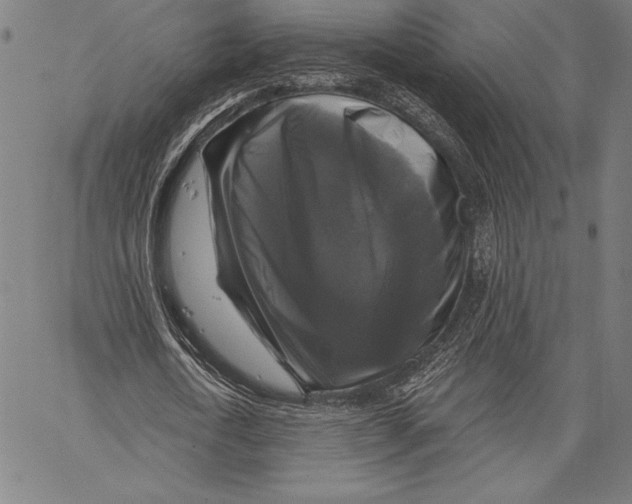X0000067370722200604211541