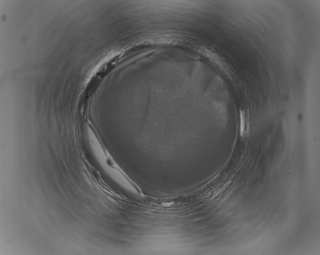 X0000067370723200604211541