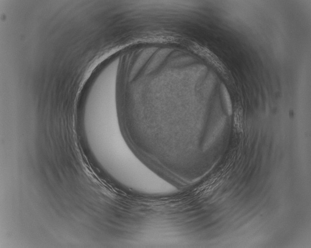 X0000067370724200604211541