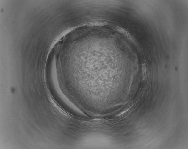 X0000067370726200604211541