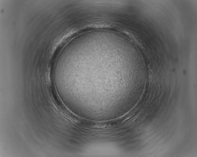 X0000067370727200604211541