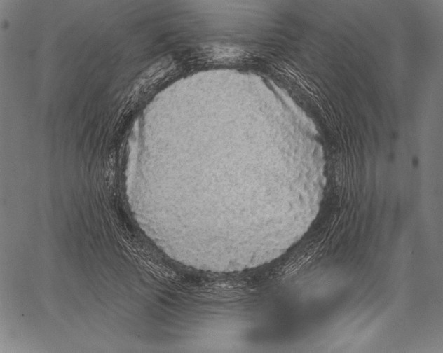 X0000067370737200604211541