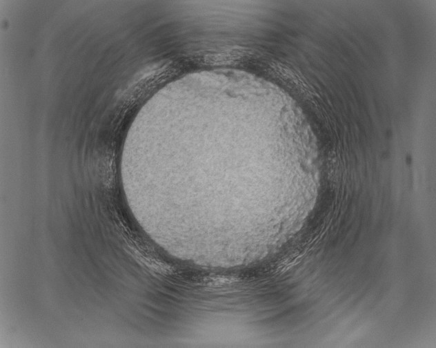 X0000067370741200604211542