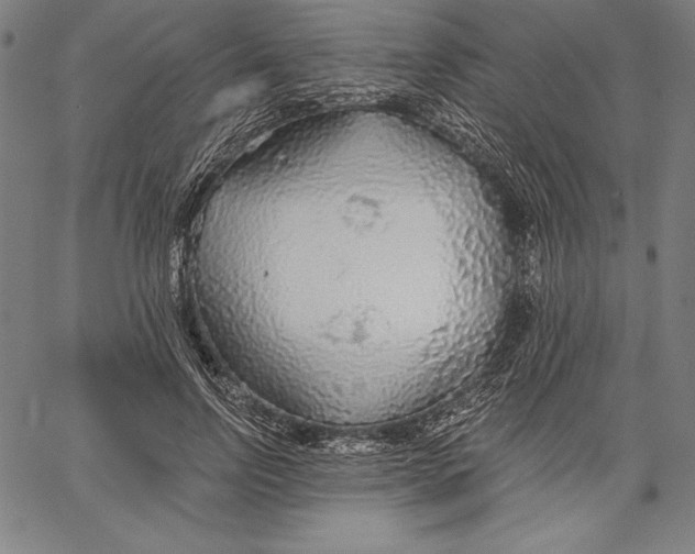 X0000067370742200604211542