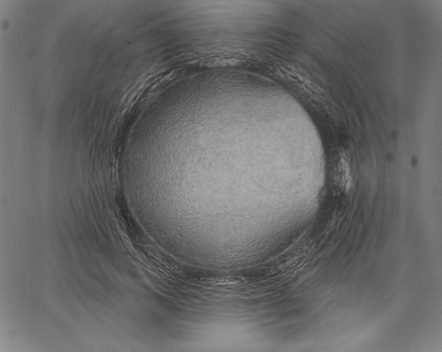 X0000067370743200604211542