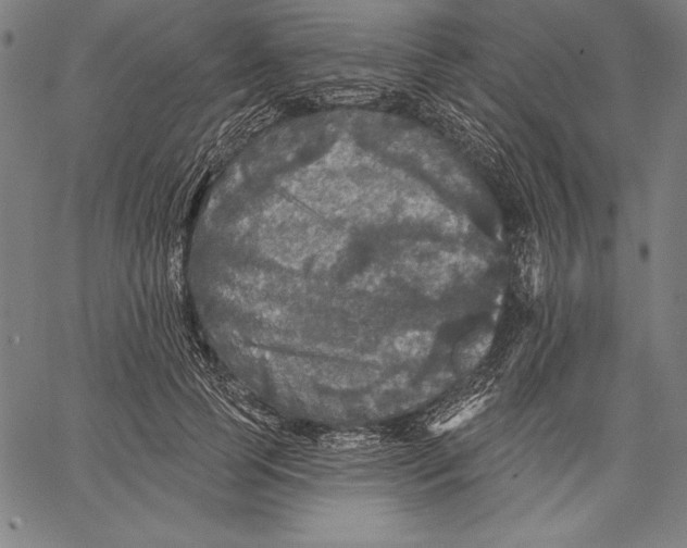 X0000067370745200604211542