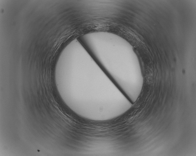X0000067370748200604211542