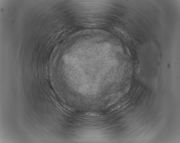 X0000067370749200604211542