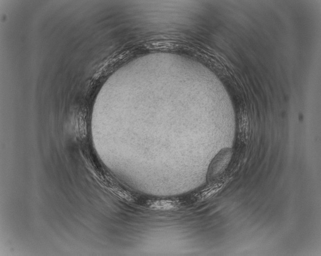 X0000067370751200604211542