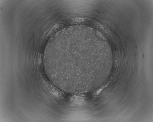 X0000067370758200604211542